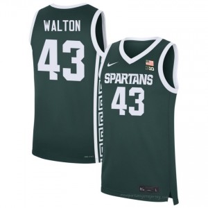 Colin Walton Collection: Michigan State Spartans #43 Green College Embroidery Men's Basketball Jersey 31218849